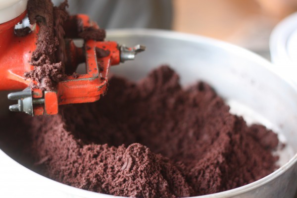 Crunching the cocoa seeds. The smell is very good
